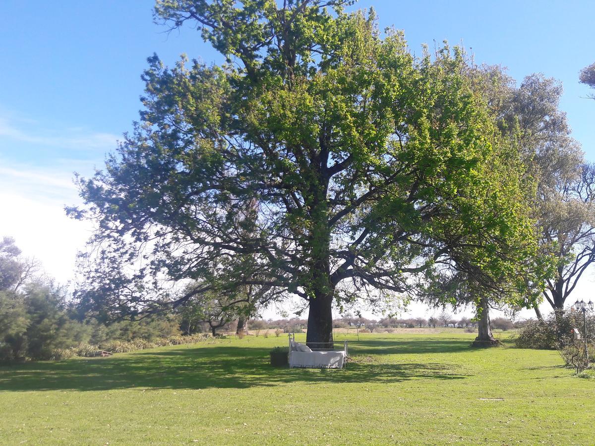 Estancia El Cangue Porvenir Zewnętrze zdjęcie